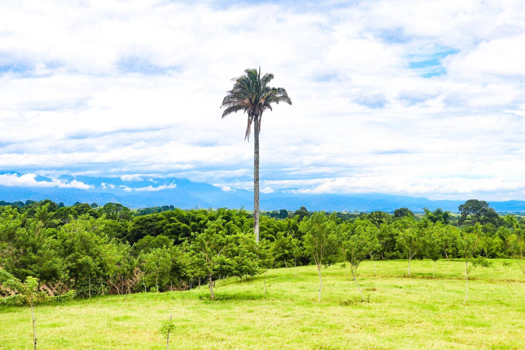 Hotel Quindio Campestre Montenegro Exterior photo